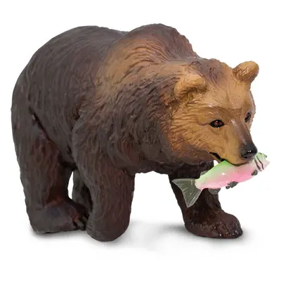 Medvěd Grizzly