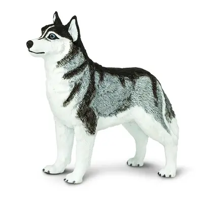 Safari Ltd. Figurka - Sibiřský husky