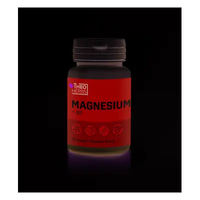 THEO HERBS Magnesium + B6 30 kapslí