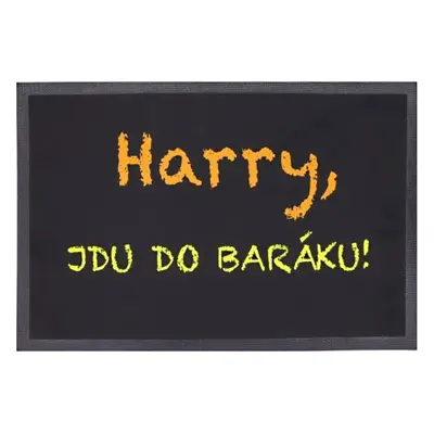 Rohožka Harry, jdu do baráku 40x60 cm