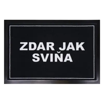 Rohožka Zdar jak sviňa 40x60 cm - na ven i na doma