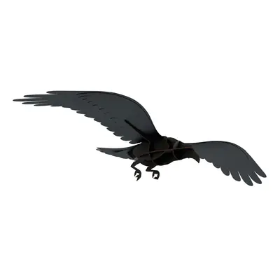 Ibride designové dekorace Ravens Adam