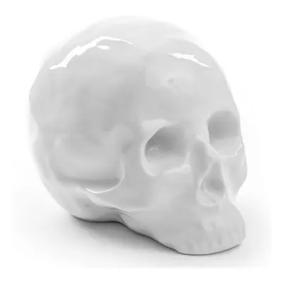 Seletti designová dekorace Memorabilia My Skull