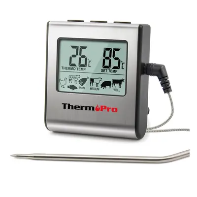 ThermoPro TP16