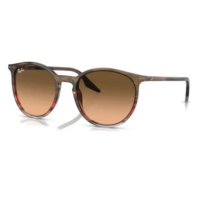 Ray-Ban RB2204 13953B - (54-20-145)