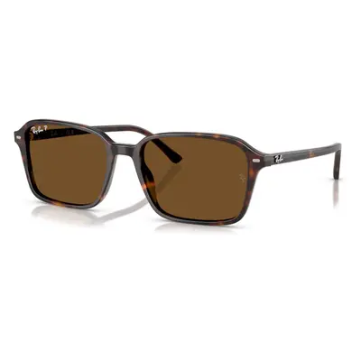 RAY-BAN RB2231 902/57 - (56-18-145)