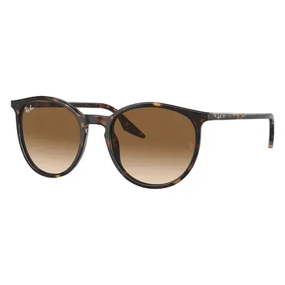 Ray-Ban RB2204 902/51 - (54-20-145)