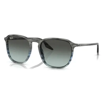 Ray-Ban RB2203 1391GK - (55-20-145)