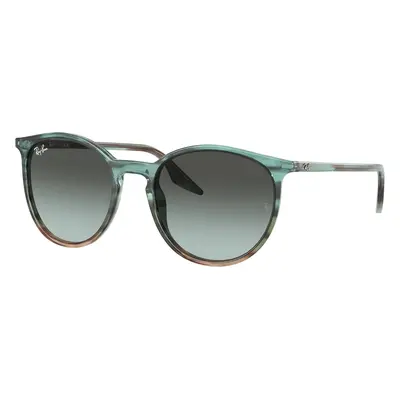 Ray-Ban RB2204 1394GK - (54-20-145)