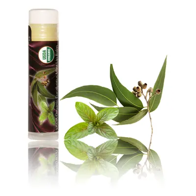 BIOPARK - Yummme - Lip balsam, 7 příchutí Příchuť: Eucalyptus