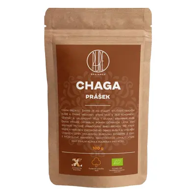 BrainMax Pure Chaga prášek, BIO 100g