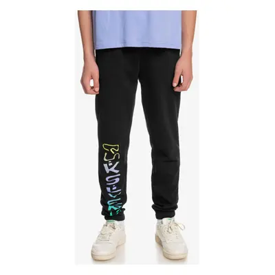 Quiksilver tepláky Radical Times Pant Youth black