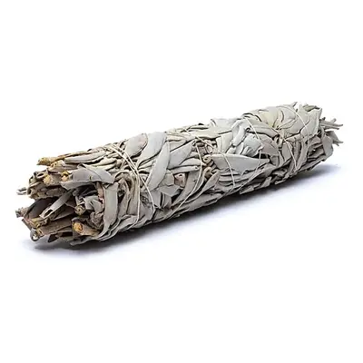 Phoenix Import Phoenix vykuřovací svazky Bílá šalvěj White Sage - 10 cm Typ: L 110-140g