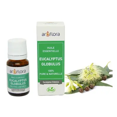 Innobiz Aroflora 100% čistý organický Esenciální olej Eukalyptus 10ml