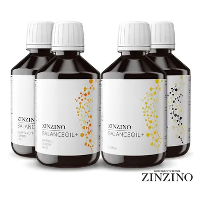 Zinzino Česko Zinzino Balance Oil olej 300 ml, vysoký obsah Omega 3 (EPA + DHA) mastných kyselin