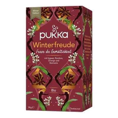 PUKKA Herbs ájurvédský Bio čaj Winter Warmer 20 sáčků