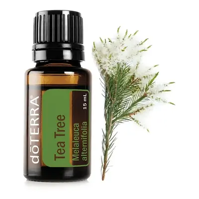 doTERRA Tea Tree Esenciální olej čajovník 15 ml