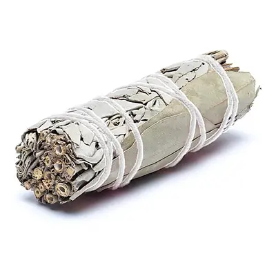 Phoenix Import Phoenix vykuřovací svazky Bílá šalvěj White Sage - 10 cm Typ: White Sage + Eukaly