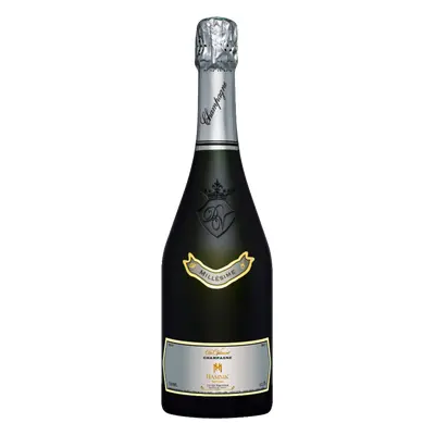 Hamsik CHAMPAGNE MILLESIME 2013 12.5% 0,75L (holá láhev)