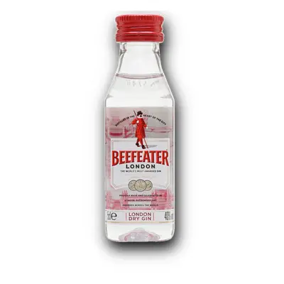 Mini Beefeater 40% 0,05L (holá láhev)