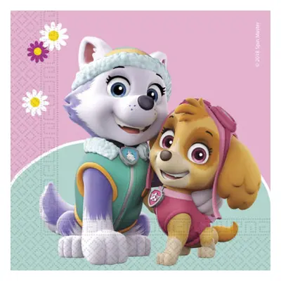 Procos Ubrousky Paw Patrol Skye & Everest ks