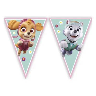 Procos Banner Paw Patrol Skye & Everest