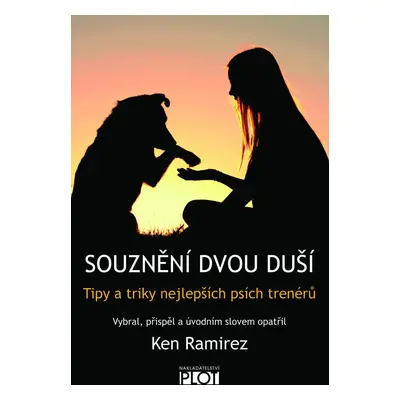 PLOT Souznění dvou duší – Ken Ramirez