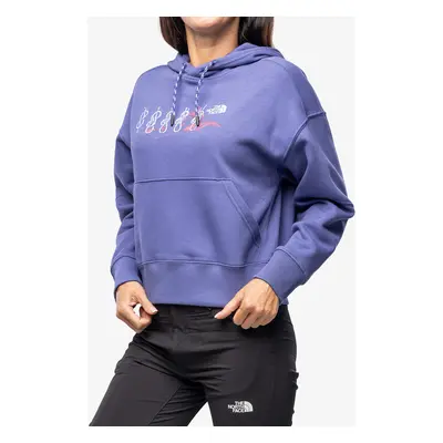 Dámská mikina The North Face Outdoor Graphic Hoodie - cave blue