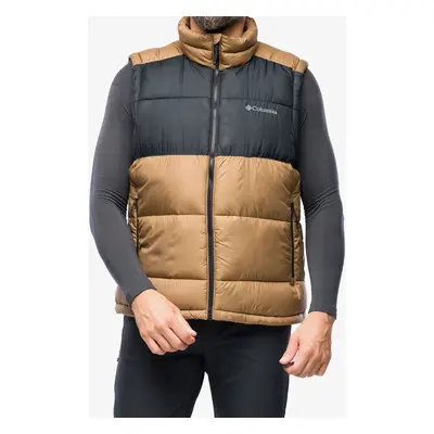 Pánská vesta Columbia Pike Lake II Vest - delta/black