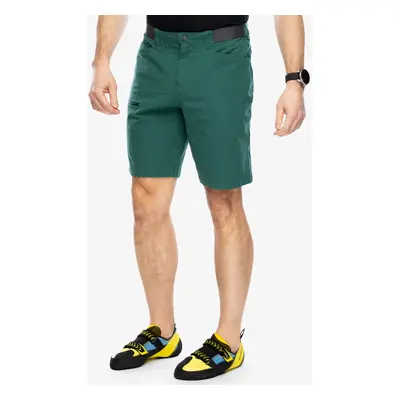 Lezecké kraťasy Patagonia Venga Rock Shorts - conifer green