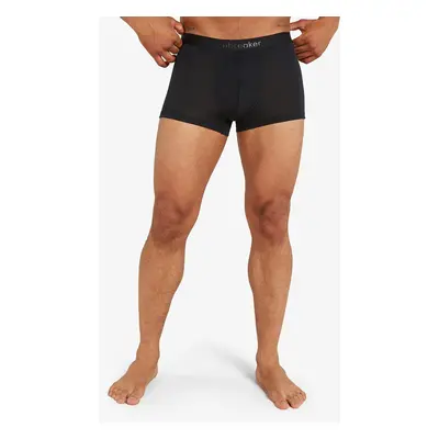 Funkční boxerky Icebreaker Merino Cool-Lite Anatomica Trunks - black