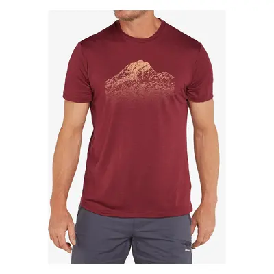 Merino triko Icebreaker Merino Tech Lite SS T Rising Light - port