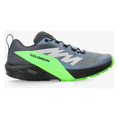 Trailové boty Salomon Sense Ride GTX - flint/black/green