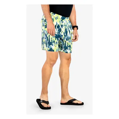 Kraťasy The North Face Printed Class V Pull On Short - green