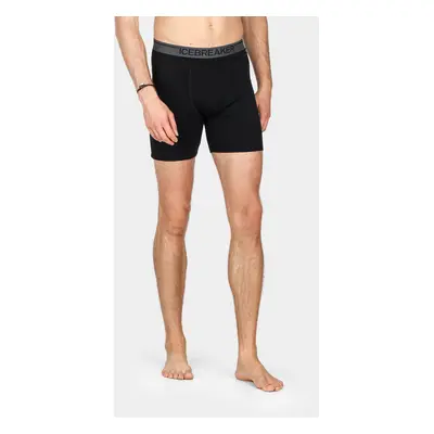 Termoaktivní boxerky Icebreaker Anatomica Long Boxers - blk