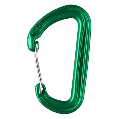 Karabina DMM Spectre - green