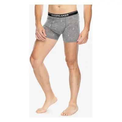 Funkční boxerky Icebreaker Merino Anatomica Boxers Palm Trail AOP - gritstone hthr/aop