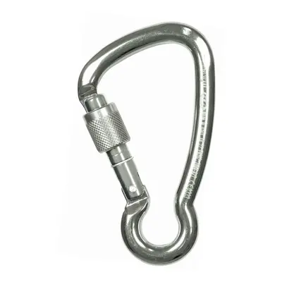 Karabina Climbing Technology Key SG - silver