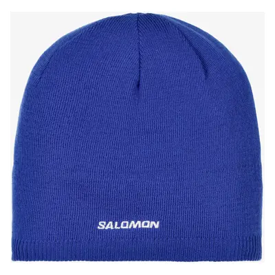 Zimní čepice Salomon Beanie - surf the web