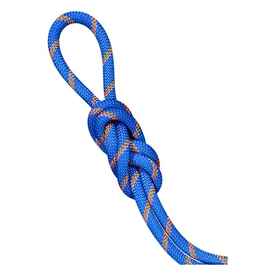 Dynamické lano Mammut 9.0 Alpine Sender Dry Rope m - ice/sunrise