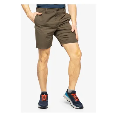 Pánské kraťasy The North Face Project Short - new taupe green