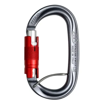 Karabina Climbing Technology Pillar Pro TGL - grey