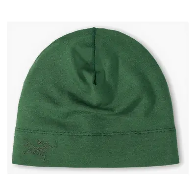 Čepice Arcteryx Rho Lightweight Wool Toque - eden