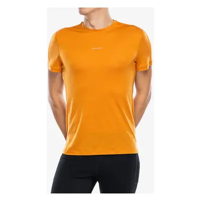 Tričko Icebreaker Merino Cool-Lite Speed SS Tee - ray