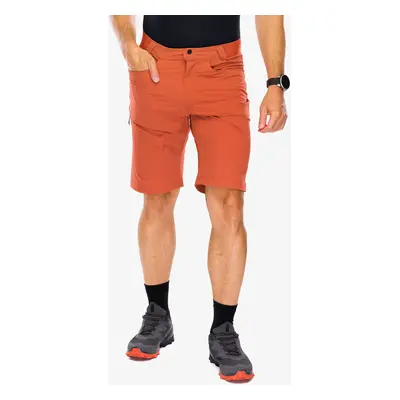 Outdoorové kraťasy Salomon Wayfarer Short - baked clay