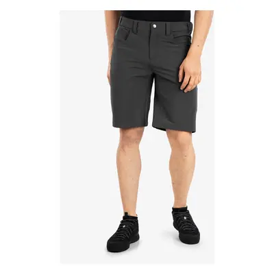 Kraťasy Royal Robbins Alpine MTN Pro Short - asphalt