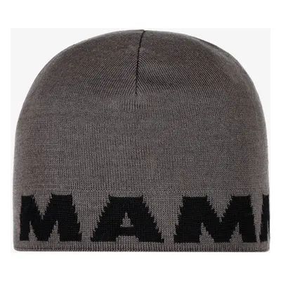 Zimní čepice Mammut Logo Beanie - steel/black