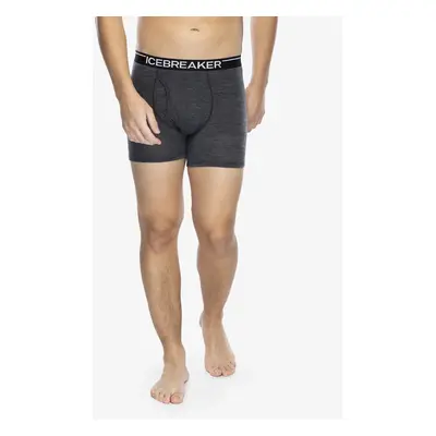 Pánské termoaktivní boxerky Icebreaker Anatomica Boxers wFly - jet