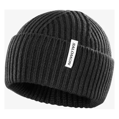 Zimní čepice Salomon Snowbird Beanie U - deep black