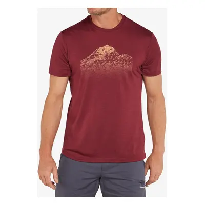 Merino triko Icebreaker Merino Tech Lite SS T Rising Light - port